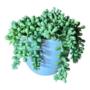 Green faux Succulent in White Planter.